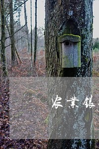 农业银行信用卡逾期会起诉吗