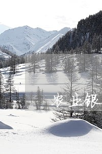 农业银行信用卡逾期传票 农业银行信用卡逾期传票