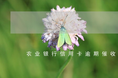农业银行信用卡逾期催收 农业银行信用卡逾期催收