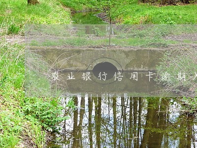 农业银行信用卡逾期入户调查