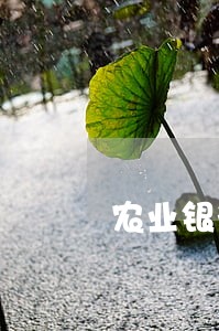 农业银行信用卡逾期减免还本金 农业银行信用卡逾期减免还本金