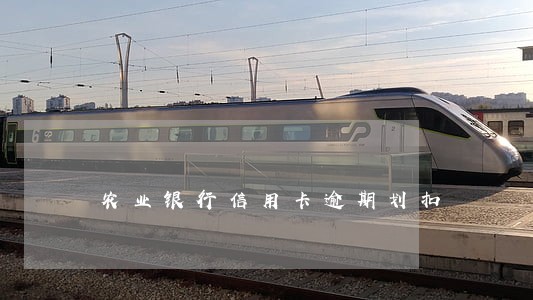 农业银行信用卡逾期划扣 农业银行信用卡逾期划扣
