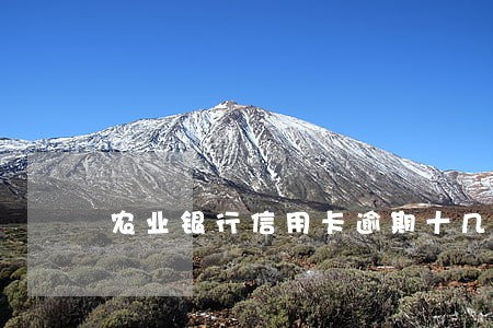 农业银行信用卡逾期十几天才还款