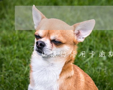 农业银行信用卡逾期十几天还款