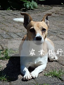 农业银行信用卡逾期半年解冻