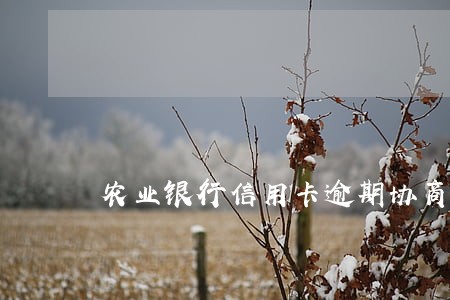 农业银行信用卡逾期协商 农业银行信用卡逾期协商