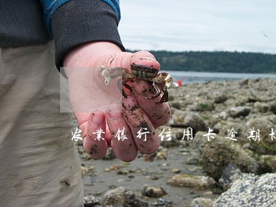 农业银行信用卡逾期协商投诉 农业银行信用卡逾期协商投诉