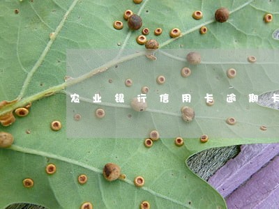 农业银行信用卡逾期卡被注销