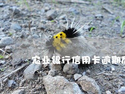 农业银行信用卡逾期后还能用吗 农业银行信用卡逾期后还能用吗