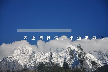 农业银行信用卡逾期咋办 农业银行信用卡逾期咋办