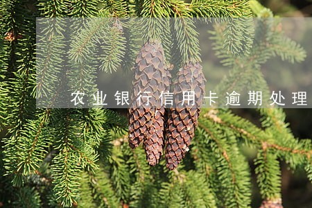 农业银行信用卡逾期处理流程 农业银行信用卡逾期处理流程