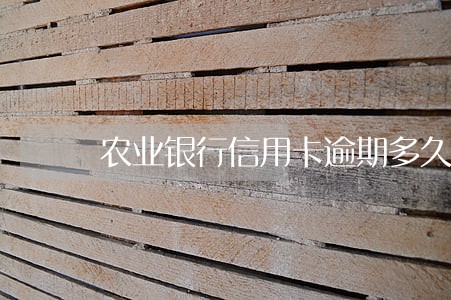 农业银行信用卡逾期多久会被立案