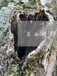农业银行信用卡逾期多久冻结 农业银行信用卡逾期多久冻结