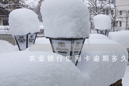 农业银行信用卡逾期多久到账 农业银行信用卡逾期多久到账