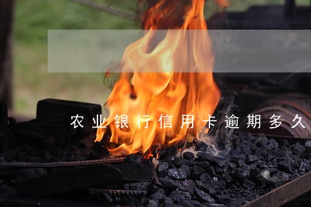 农业银行信用卡逾期多久消失 农业银行信用卡逾期多久消失
