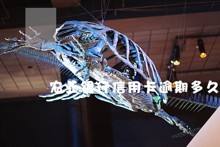 农业银行信用卡逾期多久还款
