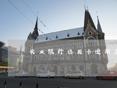 农业银行信用卡逾期怎么上门 农业银行信用卡逾期怎么上门