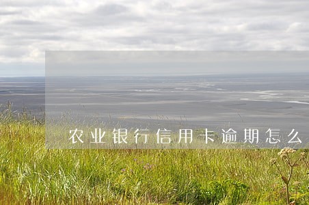 农业银行信用卡逾期怎么分期还款