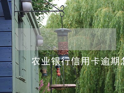 农业银行信用卡逾期怎么协商