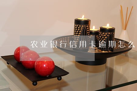农业银行信用卡逾期怎么投诉 农业银行信用卡逾期怎么投诉