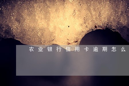 农业银行信用卡逾期怎么解决 农业银行信用卡逾期怎么解决