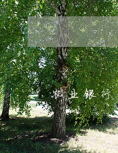 农业银行信用卡逾期挂号信