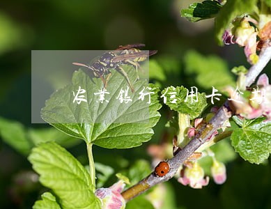 农业银行信用卡逾期摧 农业银行信用卡逾期摧
