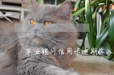 农业银行信用卡逾期收入证明 农业银行信用卡逾期收入证明