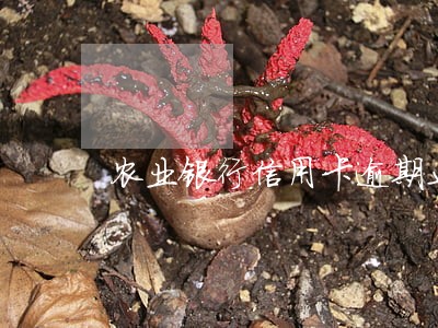 农业银行信用卡逾期止付状态
