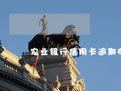 农业银行信用卡逾期申诉 农业银行信用卡逾期申诉