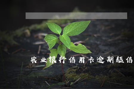 农业银行信用卡逾期短信提醒 农业银行信用卡逾期短信提醒