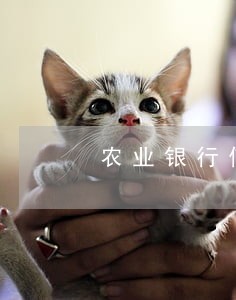 农业银行信用卡逾期缴纳金 农业银行信用卡逾期缴纳金