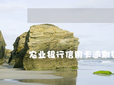 农业银行信用卡逾期罚息利率 农业银行信用卡逾期罚息利率