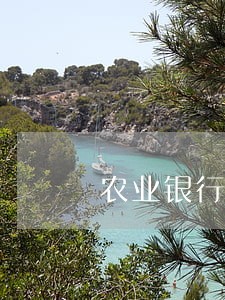 农业银行信用卡逾期能协商吗