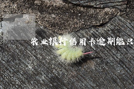 农业银行信用卡逾期能只还本金