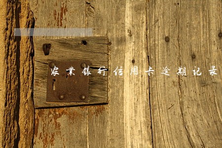 农业银行信用卡逾期记录申请 农业银行信用卡逾期记录申请