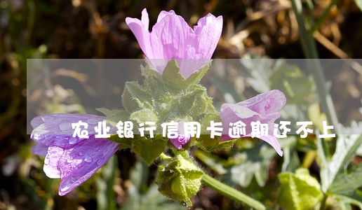 农业银行信用卡逾期还不上 农业银行信用卡逾期还不上