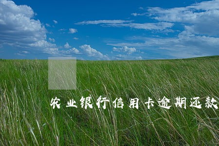 农业银行信用卡逾期还款8天