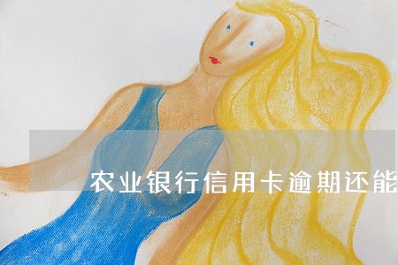 农业银行信用卡逾期还能提额么 农业银行信用卡逾期还能提额么
