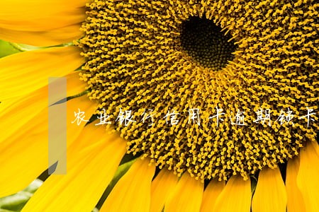 农业银行信用卡逾期锁卡了 农业银行信用卡逾期锁卡了
