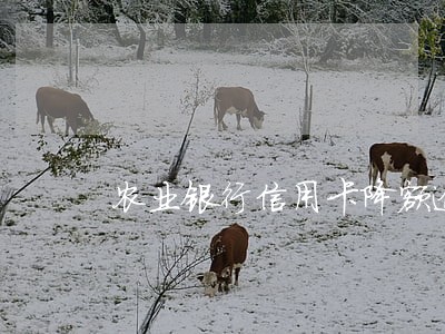 农业银行信用卡降额逾期