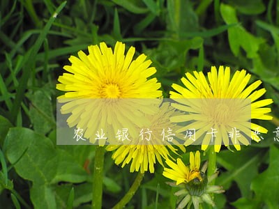 农业银行信用卡非恶意逾期