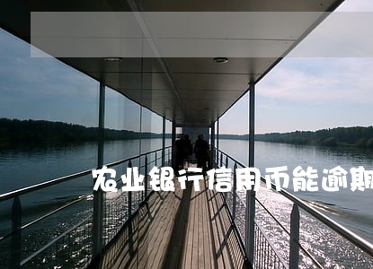 农业银行信用币能逾期不