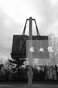 农业银行信用币逾期了怎么办 农业银行信用币逾期了怎么办