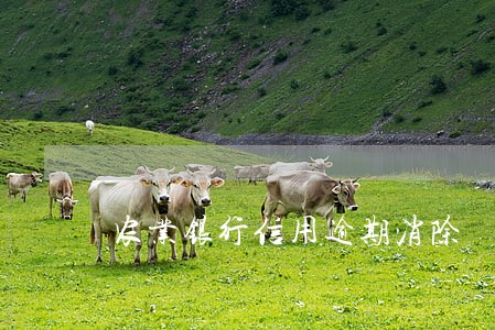 农业银行信用逾期消除 农业银行信用逾期消除