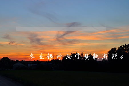 农业银行助学贷款逾期6年 农业银行助学贷款逾期6年