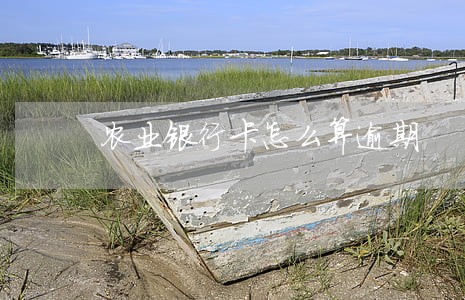 农业银行卡怎么算逾期 农业银行卡怎么算逾期