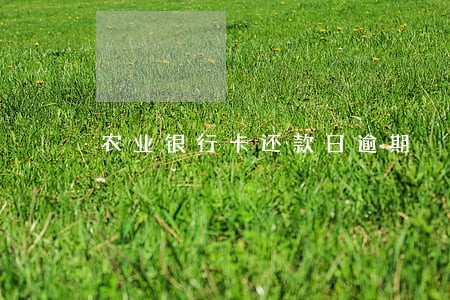 农业银行卡还款日逾期 农业银行卡还款日逾期
