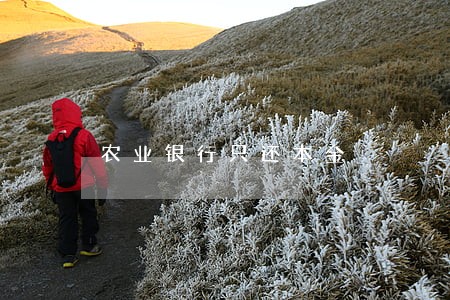 农业银行只还本金 农业银行只还本金