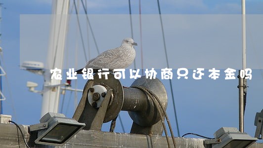 农业银行可以协商只还本金吗 农业银行可以协商只还本金吗